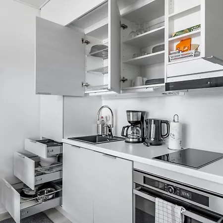 Hiisi Homes Fleminginkatu *