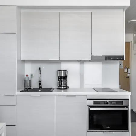 Hiisi Homes Fleminginkatu Τούρκου